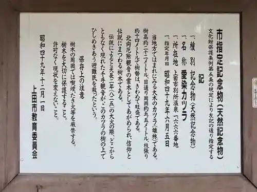 北向観音(長野県)