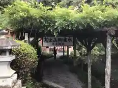富士山本宮浅間大社(静岡県)
