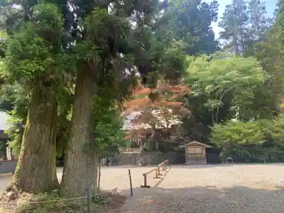 西照神社(徳島県)