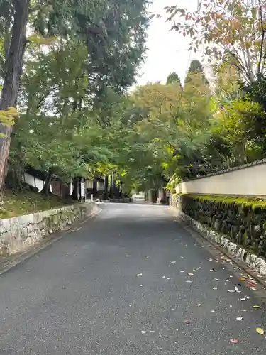 東福禅寺（東福寺）(京都府)