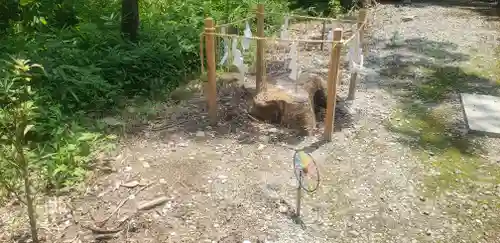 八木神社の建物その他