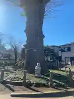 泉福寺(神奈川県)