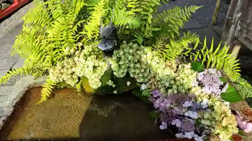 出雲大神宮の手水舎