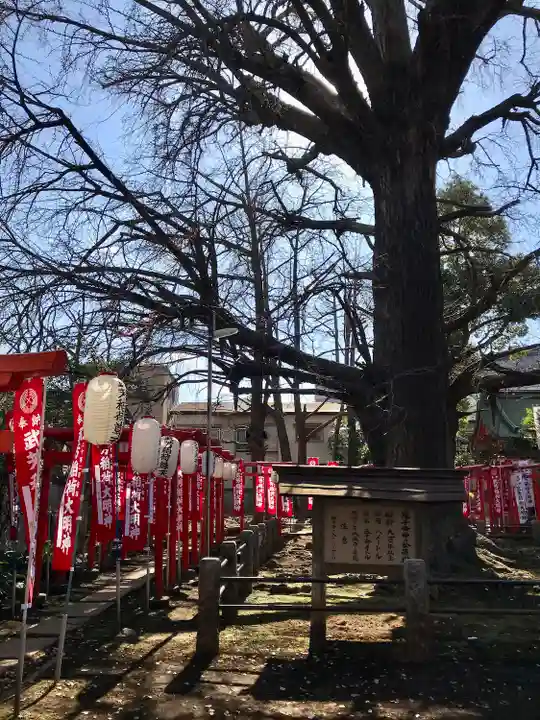 鬼子母神堂 (法明寺)(東京都)