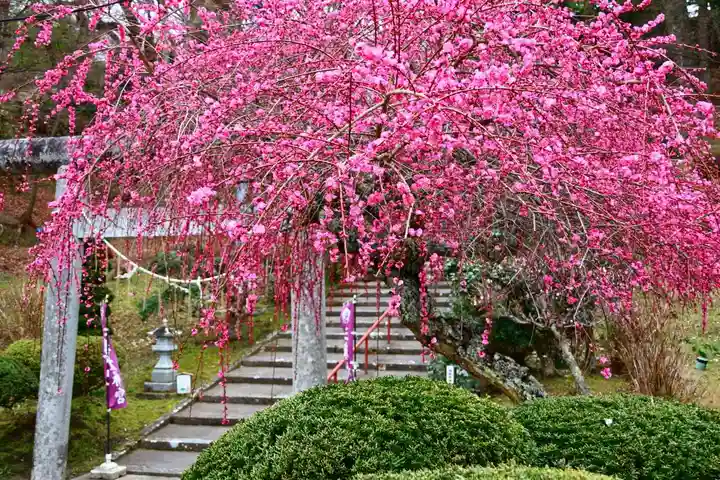 三春大神宮の鳥居