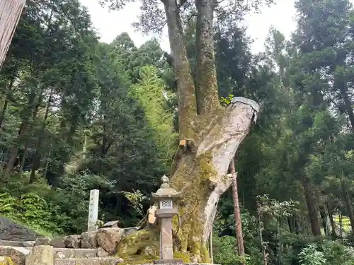 八幡神社(福井県)