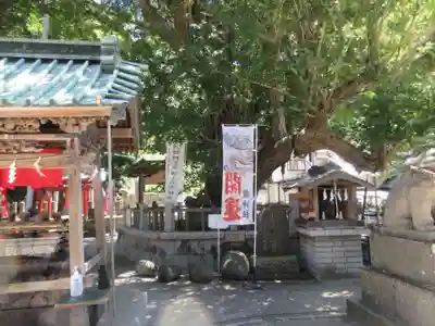 海南神社(神奈川県)