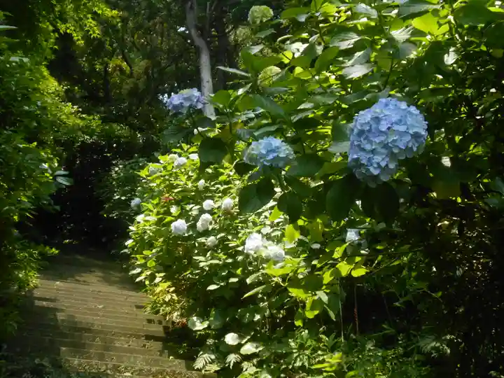 岩殿寺(神奈川県)