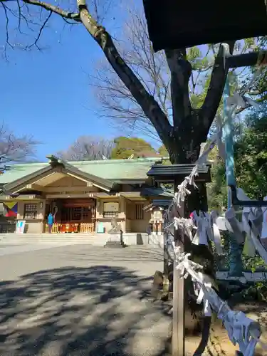 東郷神社のその他建物