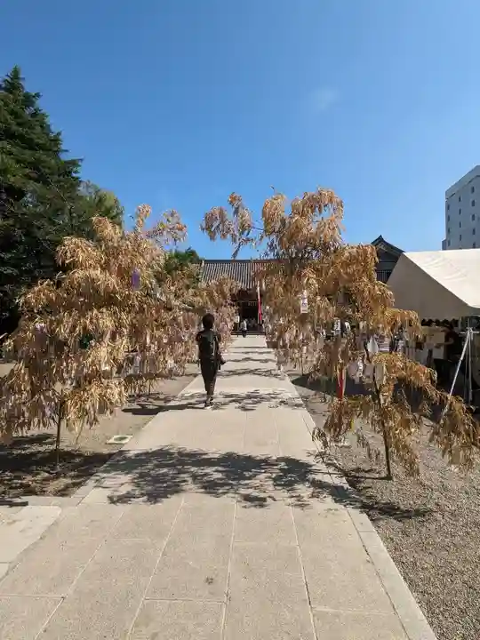 浅草神社の庭園