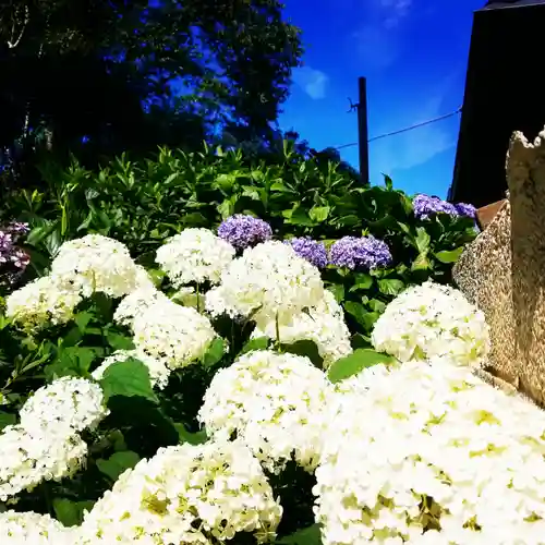 白山神社の庭園