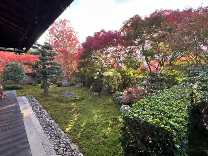 天得院(京都府)