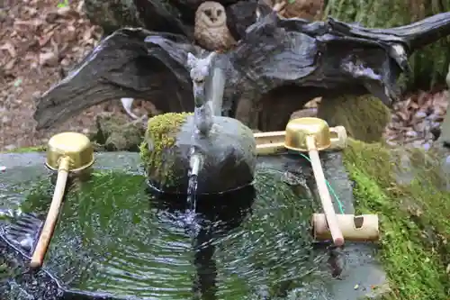 紀伊宮神社の手水舎