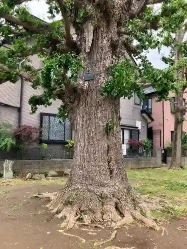 五北天祖神社の{uncategorized: "未分類", other: "その他", undefined: "問題あり", building: "その他建物", grave: "お墓", sacred_gate: "鳥居", guardian: "狛犬", statue: "像", buddha: "仏像", history: "歴史", nature: "自然", garden: "庭園", animal: "動物", pagoda: "塔", temizu: "手水舎", mountain_gate: "山門・神門", sanctuary: "本殿・本堂", subordinate: "末社・摂社", art: "芸術", scenery: "景色", jizo: "地蔵", ema: "絵馬", goshuin: "御朱印", omikuji: "おみくじ", items: "授与品その他", amulet: "お守り", goshuincho: "御朱印帳", eats: "食事", festival: "お祭り", votive_dance: "神楽", shichigosan: "七五三参", wedding: "結婚式", experience: "体験その他", initially: "初詣", around: "周辺", anti_infection: "感染症対策"}