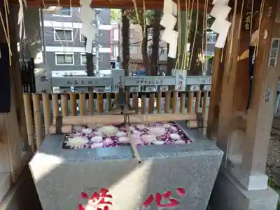 高円寺氷川神社の手水舎