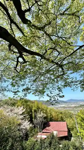 石清水八幡宮(京都府)