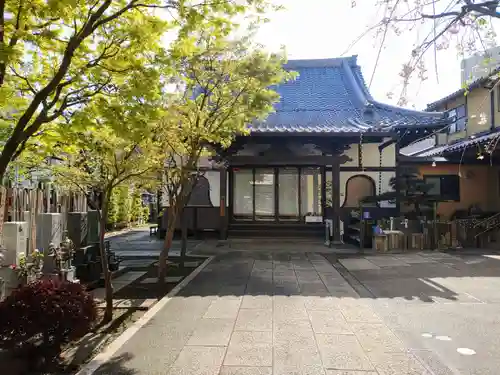 顕本寺(東京都)