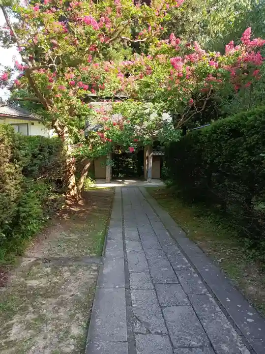 安楽寺の御朱印