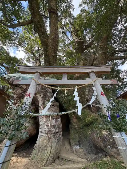 須賀神社(高知県)