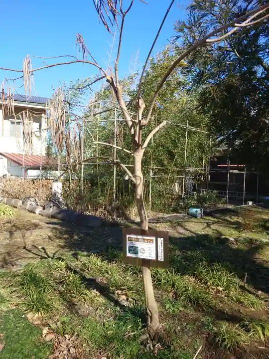 廣瀬神社(埼玉県)
