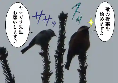 留辺蘂神社の動物