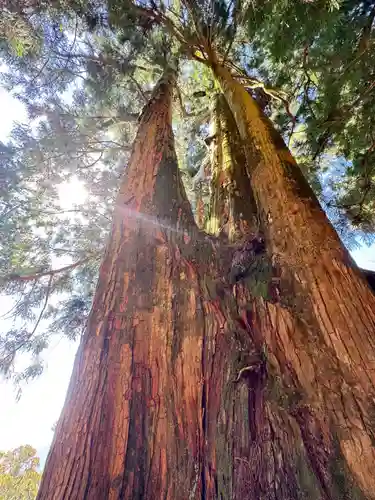玉置神社の御朱印