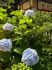 田無神社(東京都)