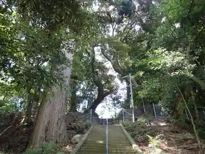 春日神社のその他建物