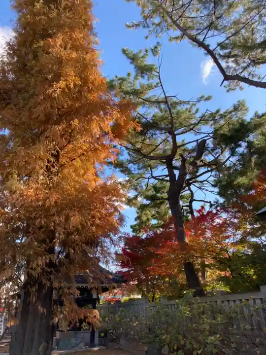 阿部野神社の自然