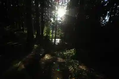 市森神社の自然