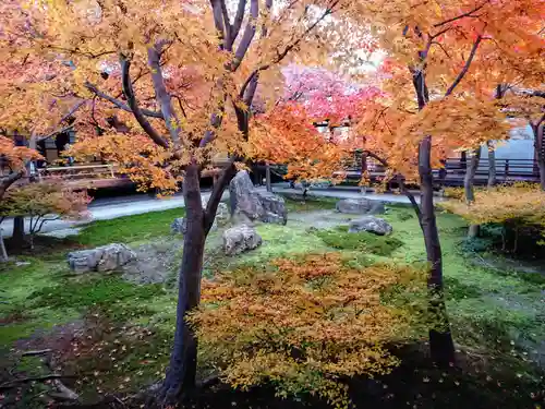 建仁寺（建仁禅寺）の庭園