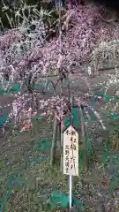 大縣神社の庭園