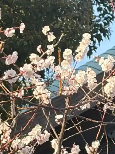 湯島天満宮の{uncategorized: "未分類", other: "その他", undefined: "問題あり", building: "その他建物", grave: "お墓", sacred_gate: "鳥居", guardian: "狛犬", statue: "像", buddha: "仏像", history: "歴史", nature: "自然", garden: "庭園", animal: "動物", pagoda: "塔", temizu: "手水舎", mountain_gate: "山門・神門", sanctuary: "本殿・本堂", subordinate: "末社・摂社", art: "芸術", scenery: "景色", jizo: "地蔵", ema: "絵馬", goshuin: "御朱印", omikuji: "おみくじ", items: "授与品その他", amulet: "お守り", goshuincho: "御朱印帳", eats: "食事", festival: "お祭り", votive_dance: "神楽", shichigosan: "七五三参", wedding: "結婚式", experience: "体験その他", initially: "初詣", around: "周辺", anti_infection: "感染症対策"}