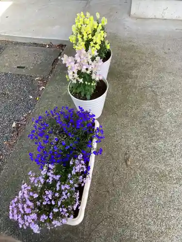 平等寺(神奈川県)