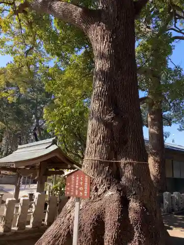 日枝神社の自然