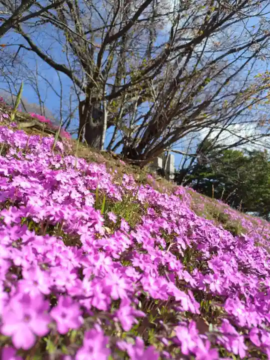 厚別神社の自然