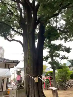 大鷲神社の自然