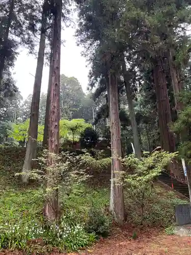 大宮温泉神社(栃木県)