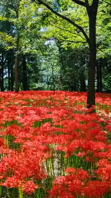 七百餘所神社 の周辺