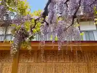 金蛇水神社の{uncategorized: "未分類", other: "その他", undefined: "問題あり", building: "その他建物", grave: "お墓", sacred_gate: "鳥居", guardian: "狛犬", statue: "像", buddha: "仏像", history: "歴史", nature: "自然", garden: "庭園", animal: "動物", pagoda: "塔", temizu: "手水舎", mountain_gate: "山門・神門", sanctuary: "本殿・本堂", subordinate: "末社・摂社", art: "芸術", scenery: "景色", jizo: "地蔵", ema: "絵馬", goshuin: "御朱印", omikuji: "おみくじ", items: "授与品その他", amulet: "お守り", goshuincho: "御朱印帳", eats: "食事", festival: "お祭り", votive_dance: "神楽", shichigosan: "七五三参", wedding: "結婚式", experience: "体験その他", initially: "初詣", around: "周辺", anti_infection: "感染症対策"}