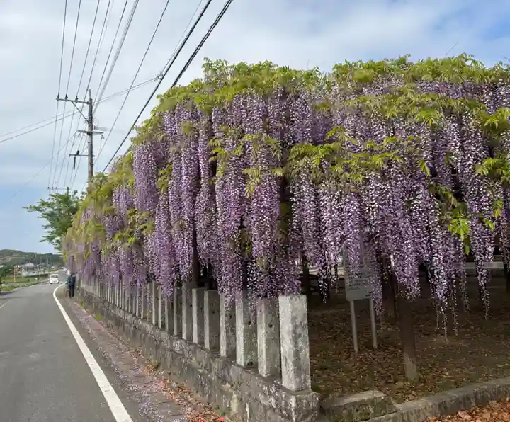 大神宮(福岡県)