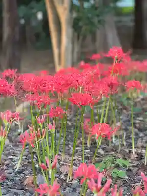 沙沙貴神社(滋賀県)