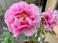 滑川神社 - 仕事と子どもの守り神の自然