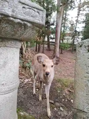 東大寺 二月堂(奈良県)