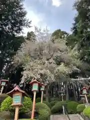 永林寺の建物その他