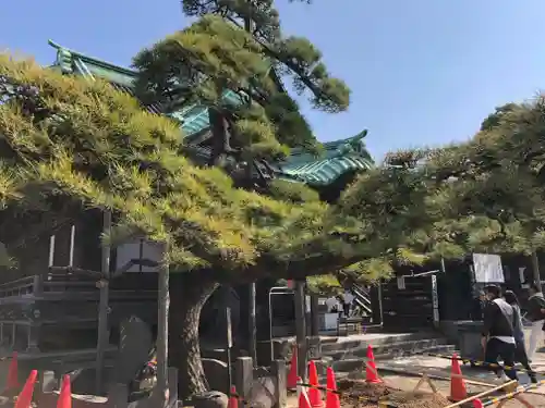 題経寺（柴又帝釈天）の自然