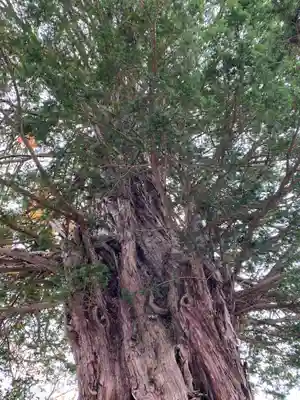 照国寺(福島県)