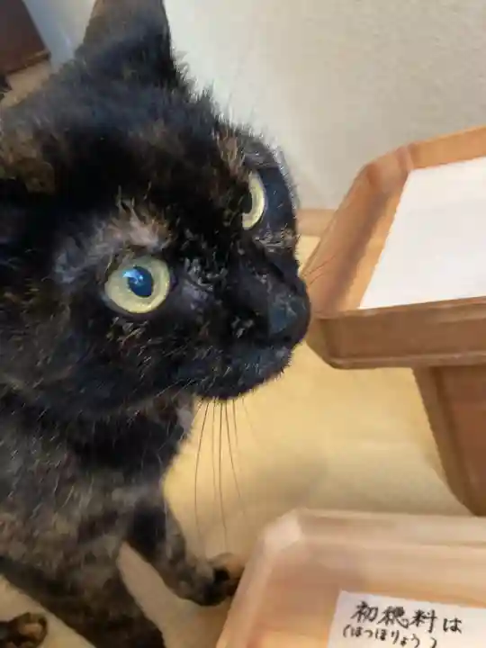 五十稲荷神社(栄寿稲荷神社)(東京都)