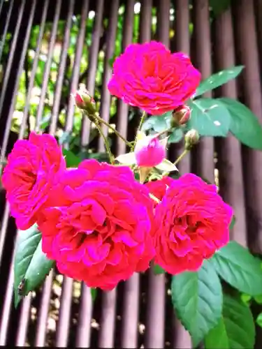 圓珠寺(東京都)