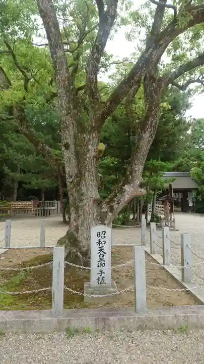 伊弉諾神宮の自然